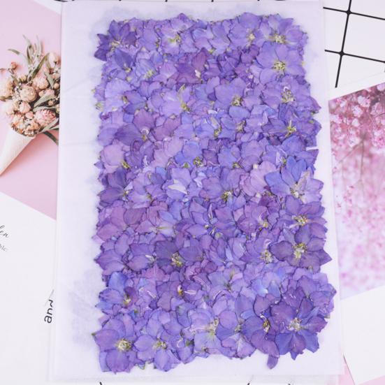 12Pcs Dried Flowers Creation Epoxy Resin DIY Pressed Long-lasting Dried Flowers