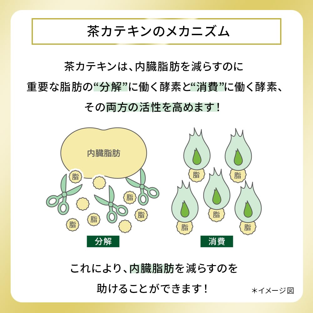 Healthia Healthia Зеленый чай Umami Luxury Tailoring 500 мл x 24 бутылки [TOKUHO]