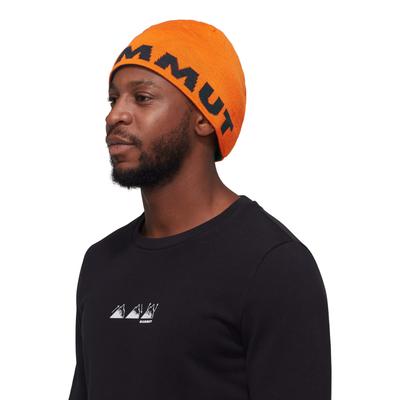Логотип Beanie [Mammut] 1191-04891 arumita-night