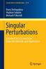 Книга Singular Perturbations : Introduction To System Order Reduction Methods with Applications : 2114