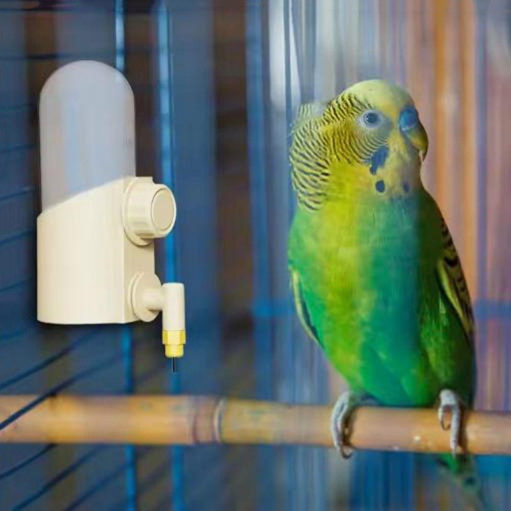 250ml Birds Water Feeder Silent Pet Birds Water Bottle Pet Supplies Bird Drinkers Lovebird