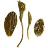 50g Supreme Spring Yun Wu - Cloud and Mist Loose Leaf Chinese Green Tea