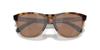 OO9284A Frogskins Range A Азиатская посадка