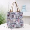 Cartoon Lunchbox Thickening Tote Bag Cute Storage Bag  Work