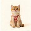 Pet clothing, New Year greeting wear, Tang suit, dog and cat Tang suit, Chinese style thickened warm cotton jacket, Teddy Bichon Schnauzer