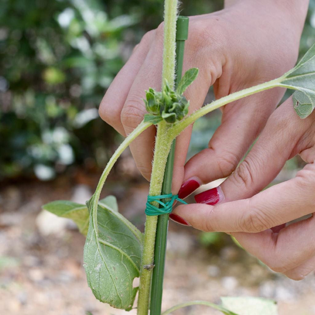 Reusable Plant Support Ties Garden Twist Ties, Wire Cutters, Wire With Shear Soft Ties For Plants For Artificial Flowers