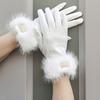 1 Pair of Suede Leather Imitation Mink Fur Deer Skin Touch Screen Protector Warm Gloves for Winter