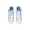 Nike Кроссовки Dunk Скользкие, Устойчивые к истиранию, Легкие, Низкие, Для скейтбординга, Мужские, Серый Белый DD1391-103(Команда458-)