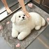 Diatomaceous Earth Bathroom Carpet Water-absorbing Bedroom Door Rug  Home Decor