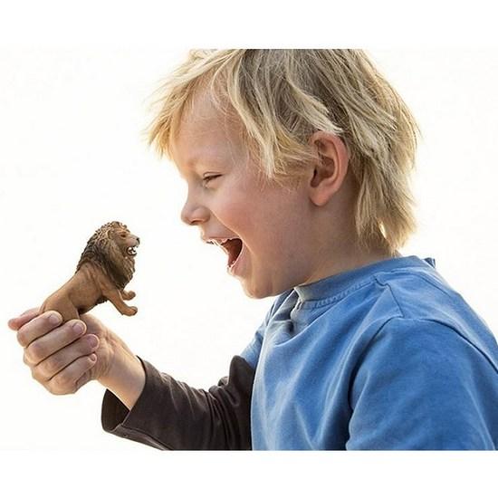 Schleich Wild Life Starter Figure Set SL01272, Popular Toys In Korea