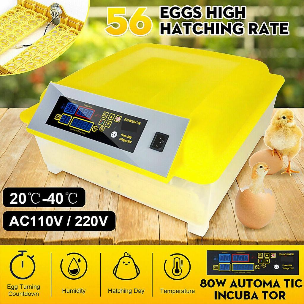 100W Automatic Eggs Incubator Brooder Bird Quail Chick Hatchery Incubator Poultry Hatcher Turner Farm Incubation Tools AC110V/220V 50/60HZEU/US