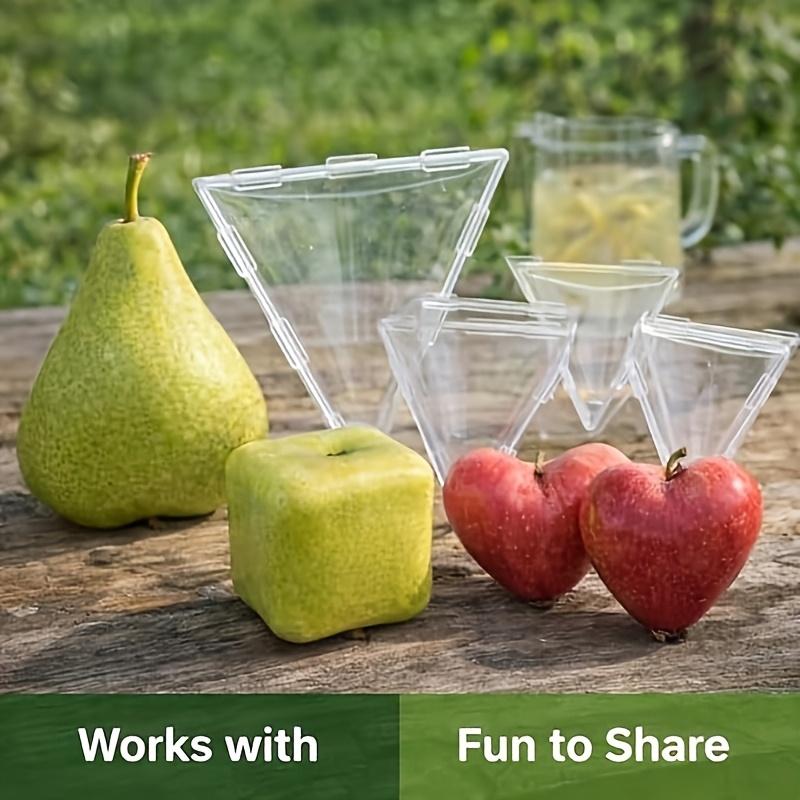 1PC Portable Fruit Shaping Mould Creative Square Tomato/Triangle Pear Shaping Box, Orchard Fruit and Vegetable Shaping Tool