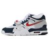 New Air Trainer 3 Vintage Basketball Shoes GS CN9750-400