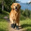 Adjustable Waterproof Dog Boots Comfortable Dog Foot Cover Dog Paw Protector  Rainy Days