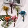 Decor DIY Small Mini Pressed Photo Backdrop Gypsophila Dried Flowers Babysbreath Bouquet Dry Flower