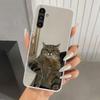Забавный чехол для телефона с мемами про кошек для Samsung Galaxy A17 A16 A37 A26 A36 A57 A56 A15 A25 A35 A55 A14 A24 A34 A54 A13 A23 A33 A53 Ga