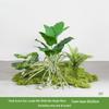 Bionic Fake Plants for Indoor Decoration: Living Room, Window Display, Under Stairs, Corner Arrangement.
