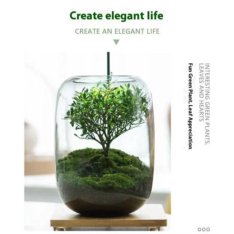 Творческий настольный микроландшафтный ваза своими руками зеленое растение экологическая бутылка мох ленивый искусственный ландшафтный дизайн бутылка современная простая ваза