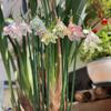 10 шт. Декоративные колышки для цветов Ландыш Прозрачные колышки для комнатных растений Формуемые пики для цветов для декора патио и двора