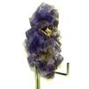 Stones and Minerals. Fluorite + Baryte. 170.5 Ct. La Cabaña, Berbes, Spain.