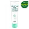 Seedmul Wellbeing Green Tea Foam Cleansing 120ml