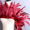 2m Rooster Tail Feather Trim: Costume & Accessory Decoration
