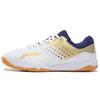 Li Ning Qilin TD Ткань Синтетическая кожа Амортизирующие Нескользящие Износостойкие Легкие Низкие Кроссовки Женские Кроссовки Платиновый APTR002-2