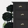 QOGRISUN 5-Pack Unlacquered Brass Cabinet Cup Pulls, Gold Bin Cup Drawer Dresser Handles, 3-Inch Hole Center, Kitchen Cupboard Hardware, Polished