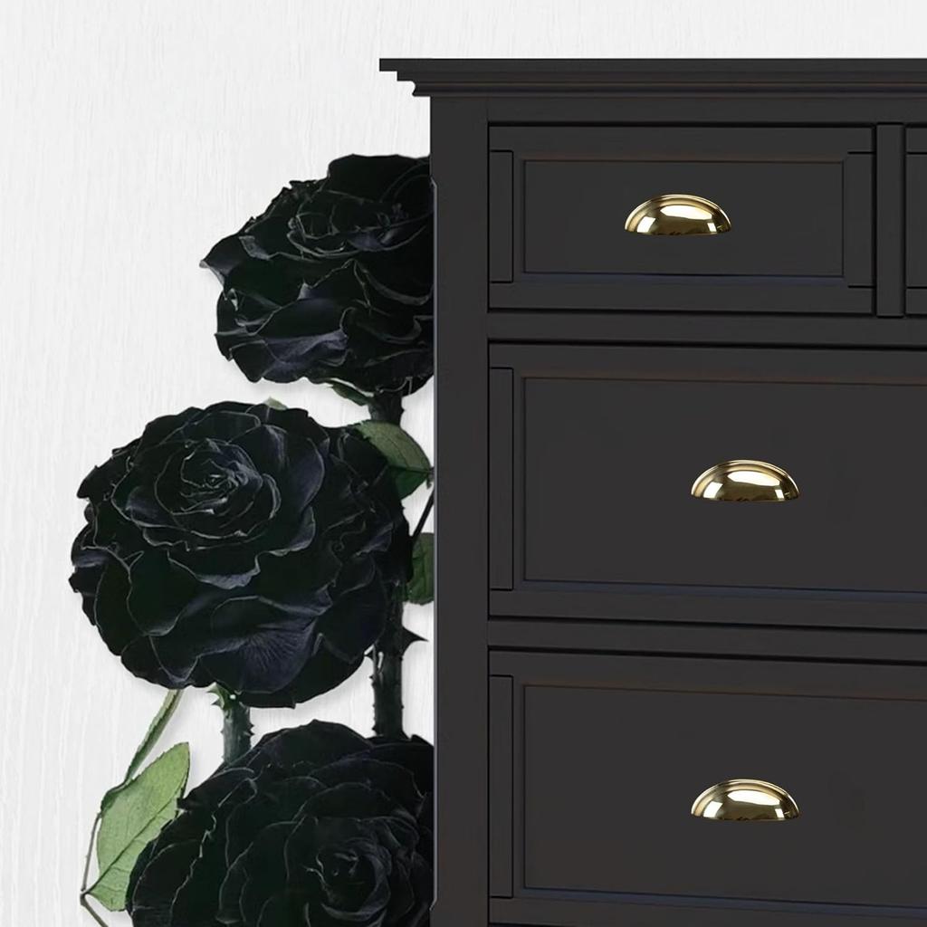 QOGRISUN 5-Pack Unlacquered Brass Cabinet Cup Pulls, Gold Bin Cup Drawer Dresser Handles, 3-Inch Hole Center, Kitchen Cupboard Hardware, Polished