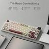 RK ROYAL KLUDGE N80 Mechanical Keyboard with Smart Display and Top Mount Wireless Mechanical Keyboard Hot Software 80 Keys Knobs, 75% BT/2.4G/USB-C,