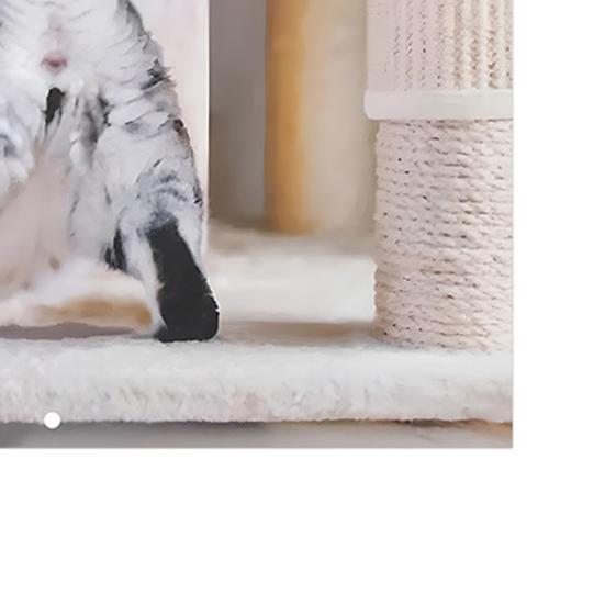 2026 Cat Buttholes Calendar 2026 Funny Cat 12 Monthly Wall Calendar Jan To Dec High-Definition Cat Photography