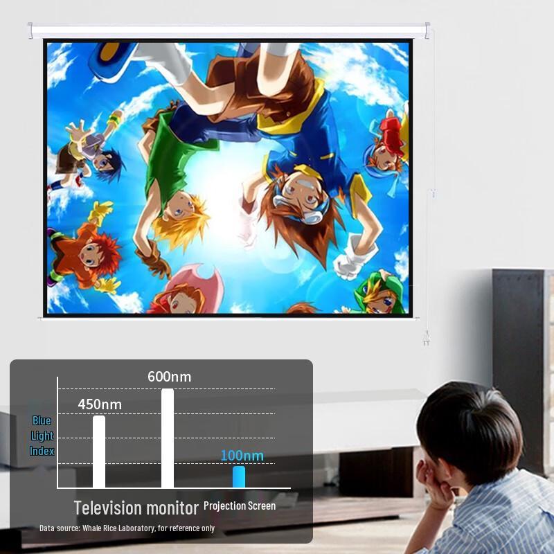JINGMI Electric Projector Screen