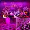 AC220V 110V LED Grow Light LED Plant Light Bar Full Spectrum Phyto Lamp Tube T5 29 см для комнатных цветов, гидропонная система -Q