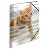 Herma Elasticated Glossy PP Folder A4 Animals (Cats)