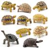 Simulation Amphibian Reptile Model Tortoise Tortoise Star Tortoise Static Decoration Cognitive Ornament Toy