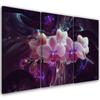 Three Piece Picture Canvas Print White Orchid On Dark Background