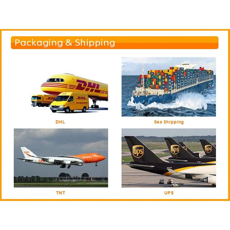24V DC 14LPM Portable Electric Small Reversible Self Priming Heavy Oil Hydraulic Gear Oil Pump