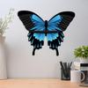 Butterfly Wall Shelf for Home Decoration, Mounted Storage Solution