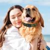 Регулируемый ошейник для кошек Утолщенный нейлоновый ошейник для домашних животных для средних и крупных собак Удобный ошейник для домашних животных для тренировок на свежем воздухе