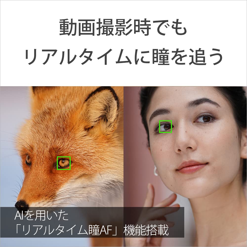 Sony Полноразмерная беззеркальная однообъективная камера, корпус черного цвета B 7C (Без линз) ИЛКЭ-7С