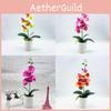 Fake Butterfly Orchid Bonsai With Pvc Material For Living Room Decor And Collectors