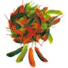 Autumn Feathers - OZ INTERNATIONAL - 15g Bag - Approximately 80 Feathers - Decoration - Craft