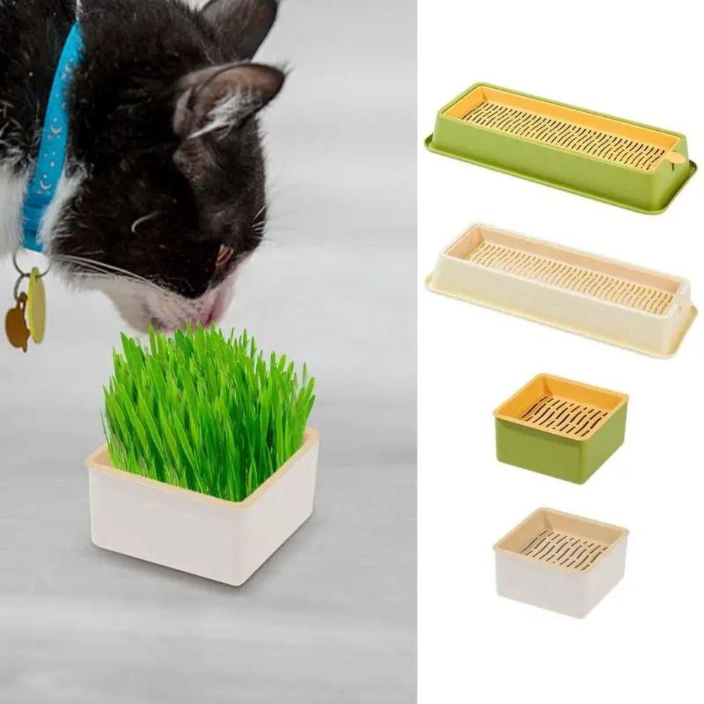 4 Styles Catgrass Planting Bowls Hydroponic Nursery Tray Cat Grass Growing Kit  Veterinary