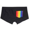 Men Swim Briefs Trunks Tight Fit Sexy Pride Day Pocket Swimwear Beach Wear Tanning Surfing GYM