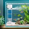 Mute Fish Tank Submersible Filter Plastic Built-in Filter Water Purification Removable Water Circulation Pump