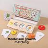 Montessori Cycle Growth Puzzle Wooden Educational Toy For Preschool Learning