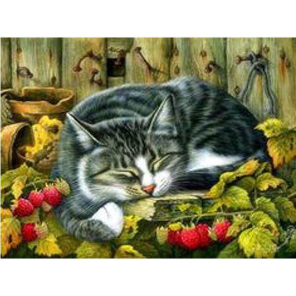 Алмазная вышивка по номерам котики