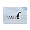 Современный холст с пингвином, настенная живопись, антарктические существа, постеры с животными и принты, настенные панно для украшения гостиной