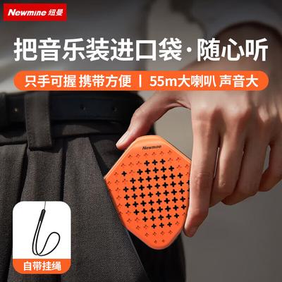 Портативная Bluetooth-колонка Newmine PBS001-TWS, штекер CN (адаптер в комплекте)