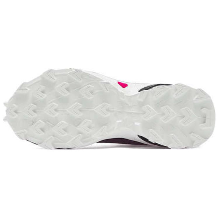Женские кроссовки Alphacross 5 Wmns Salomon GORE-TEX 'Moonscape' Женские